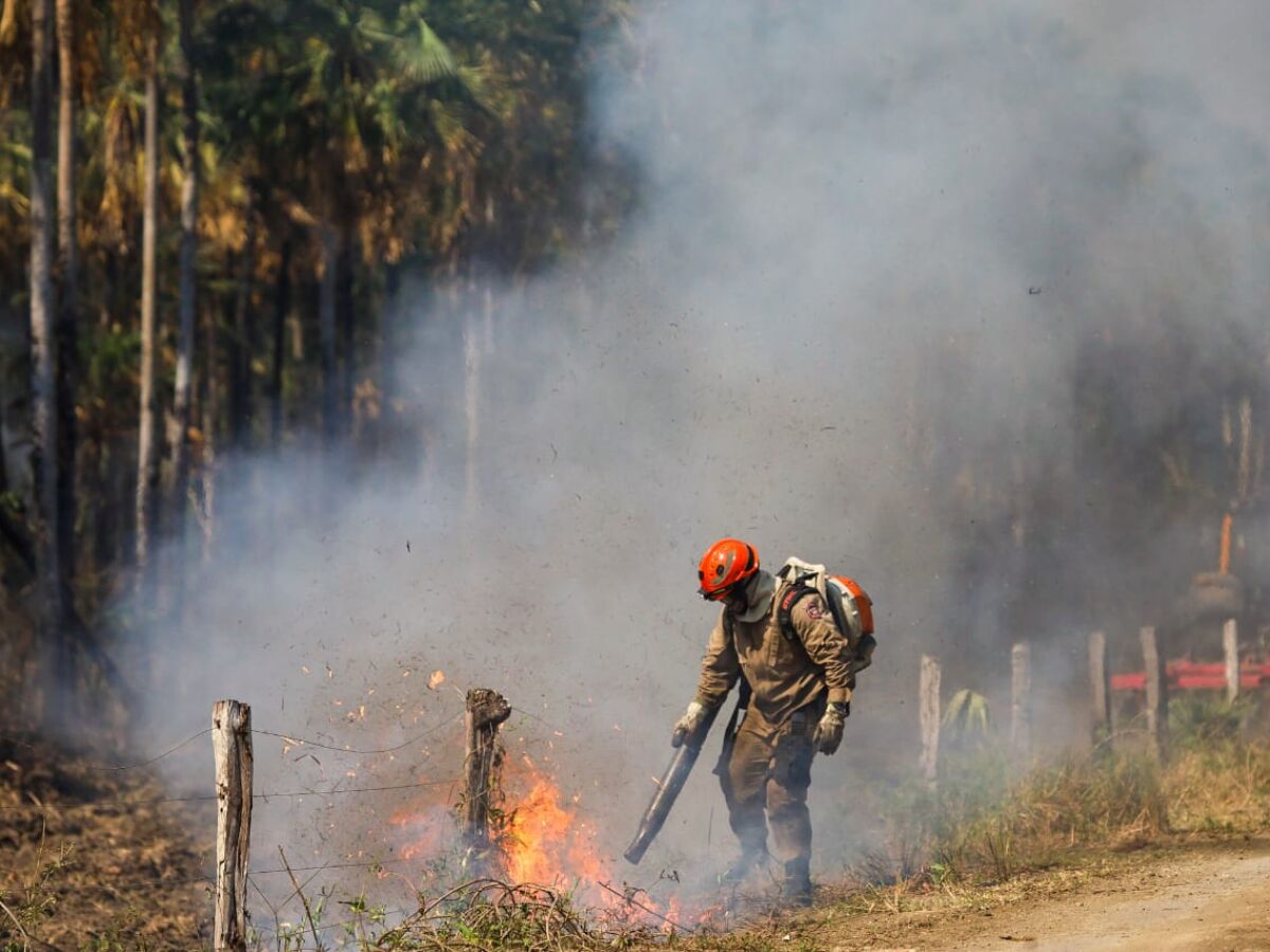 Avanço da área queimada caiu de uma evolução diária de 7.325 hectares para 400 ha registrados nesse domingo (07).