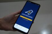 Pardal: irregularidades eleitorais crescem 94% em uma semana em MS 