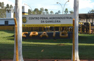 Novas unidades da Gameleira devem abrir mais de 1,2 mil vagas para o sistema prisional