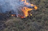 Incêndio com devastação de 333 mil hectares resulta em multa de R$ 100 milhões, no Pantanal 