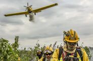 Incêndio no Pantanal consumiu R$ 204,8 milhões entre prejuízos e ações de combate