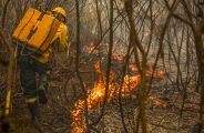 Com mais de 5% já queimado, Pantanal de MS sofre com retorno dos incêndios