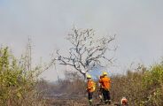 Fiscalização da PF contra incêndios no Pantanal seguirá até o fim deste ano