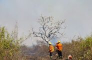 Governo vai "financiar" quem combate incêndios no Pantanal