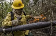 Após queima de 1,76 milhão de hectares, Ibama dobra brigadistas em MS