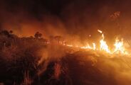 Em 8 meses, Mato Grosso do Sul tem a maior concentração de focos de calor em 26 anos
