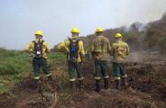 Incêndios podem significar US$ 360 milhões perdidos em carbono