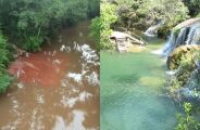 Ap&oacute;s alerta no Rio Mimoso, plantas aqu&aacute;ticas avan&ccedil;am e chegam a Bataguassu