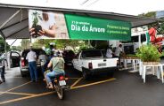 No dia da árvore prefeitura de Campo Grande distribuiu 15 mil mudas frutíferas