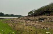 Estiagem no Pantanal deve permanecer durante a década