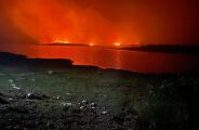 Área de recuperação no Pantanal dos incêndios de 2020 são destruídas por 4 horas de fogo