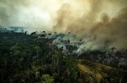 Mudanças climáticas agravam epidemia global de tuberculose, diz cientista