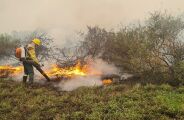 Prevfogo vai manter brigadistas o ano inteiro no Pantanal de MS