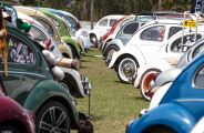 Evento reúne 250 carros antigos com exposição de Fusca, Opala e Chevette 