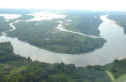 Estudo prevê nova reserva ambiental de 160 mil hectares no Pantanal
