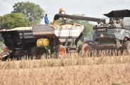 Produtividade de soja em Mato Grosso do Sul fica abaixo do custo da safra 