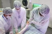 Com economia de 95%, Regional criou técnica que acelera a alta