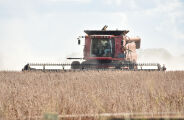 Previsão do tempo é fundamental para o planejamento do agronegócio