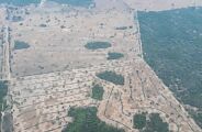 BNDES nega R$ 10,7 milhões em crédito rural para desmatadores em MS