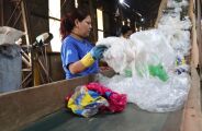 MS é 1&ordm; no ranking de reciclagem por habitante no país