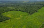 BNDES aprova R$ 250 mi para Suzano restaurar 24 mil hectares de &aacute;reas degradadas em 6 Estados