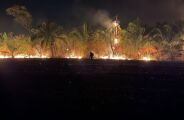 Fogo retorna ao Parque Estadual do Rio Taquari e prefeitura pede 'socorro'