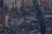 Pol&iacute;cia Ambiental multa fazendeiro em R$ 1,6 milh&atilde;o ap&oacute;s inc&ecirc;ndio em vegeta&ccedil;&atilde;o nativa