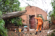 Diarista tem casa destru&iacute;da ap&oacute;s queda de &aacute;rvore durante temporal 