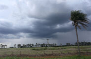 MS tem alerta de temporal e ventos intensos no final de semana