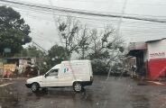 Pancada de chuva 'surpresa' derruba at&eacute; linha de emerg&ecirc;ncia da Defesa Civil