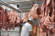 Em ano de tarifa&ccedil;o, MS tem recorde nas exporta&ccedil;&otilde;es de carne bovina