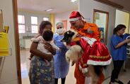 Especial fim de ano, cães bombeiros visitam Humap
