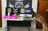 Cão policial ajuda a prender traficantes em operação da Polícia Civil