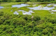 Pantanal tem menor &aacute;rea queimada desde cheia de 2018