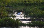 Fundo Pantanal indeniza desde banqueiro a gigante do Agro
