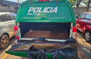 Pescador quebra Piracema e &eacute; multado em R$ 33 mil por Pintado de 21 kg em MS