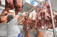 Em 6 dias, cota de exporta&ccedil;&atilde;o da carne brasileira para os EUA &eacute; esgotada
