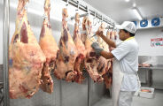 Vietn&atilde; habilita frigor&iacute;fico de MS para exporta&ccedil;&atilde;o de carne bovina 