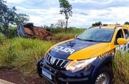 Homem invade pista e morre ap&oacute;s bater carro carregado de drogas em caminh&atilde;o