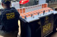 DOF apreende R$ 550 mil em canetas emagrecedoras e Iphones 17
