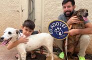 Feira de ado&ccedil;&atilde;o tem c&atilde;es adultos &agrave; espera de um lar neste domingo (8)