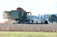 Guerra no Oriente M&eacute;dio aperta margem do produtor rural de MS