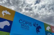 C&uacute;pula de l&iacute;deres orienta debates para COP15 em Campo Grande