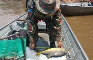 Piracema termina e pesca est&aacute; liberada em rios de Mato Grosso do Sul