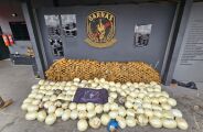 Garras faz apreens&atilde;o hist&oacute;rica de coca&iacute;na em Campo Grande