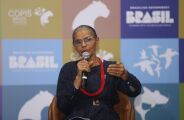 COP15: Marina Silva pede uni&atilde;o de pa&iacute;ses al&eacute;m das fronteiras