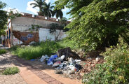 Em menos de 48h, aplicativo recebe mais de 230 den&uacute;ncias sobre terrenos baldios