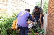Ap&oacute;s 8 mortes, prefeitura de Dourados espera vacinar 43 mil contra chikungunya 