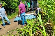 Um ano ap&oacute;s on&ccedil;a devorar Jorginho, homem morre atacado por javali em MS