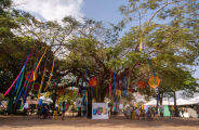 Feira Liter&aacute;ria de Bonito celebra 10 anos com edi&ccedil;&atilde;o comemorativa e revisita trajet&oacute;ria do evento
